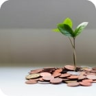 Sustainability